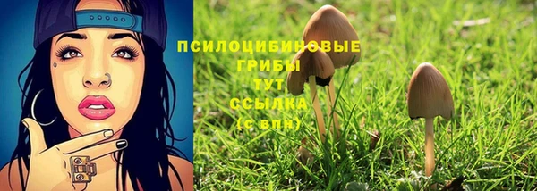 первитин Армянск