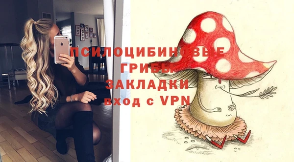 кокс Сосновый Бор